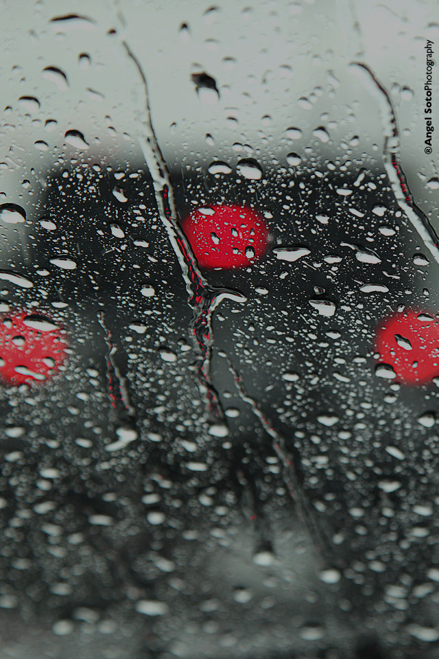raindrops.jpg