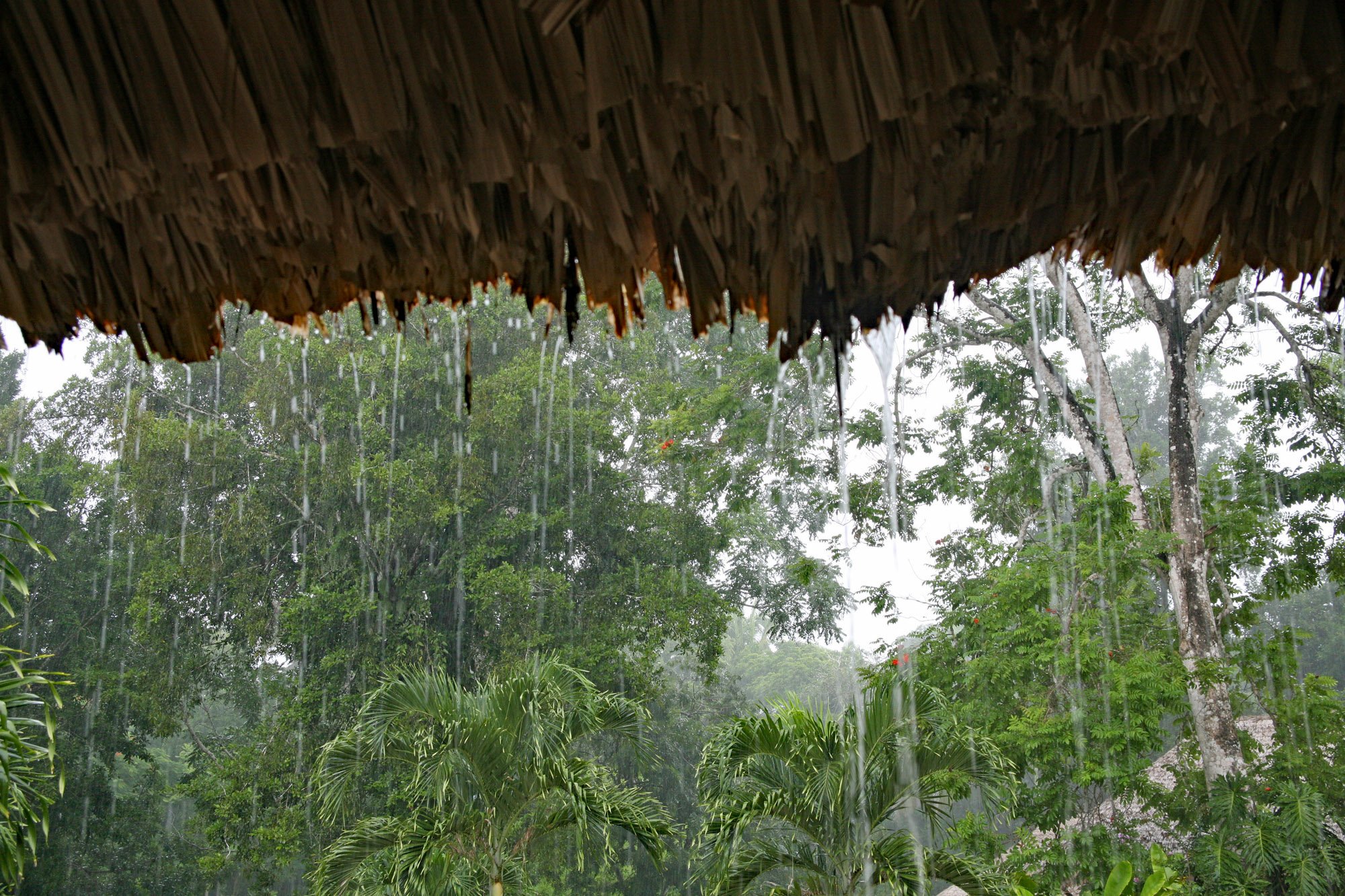 rainydaybelize2k.jpg