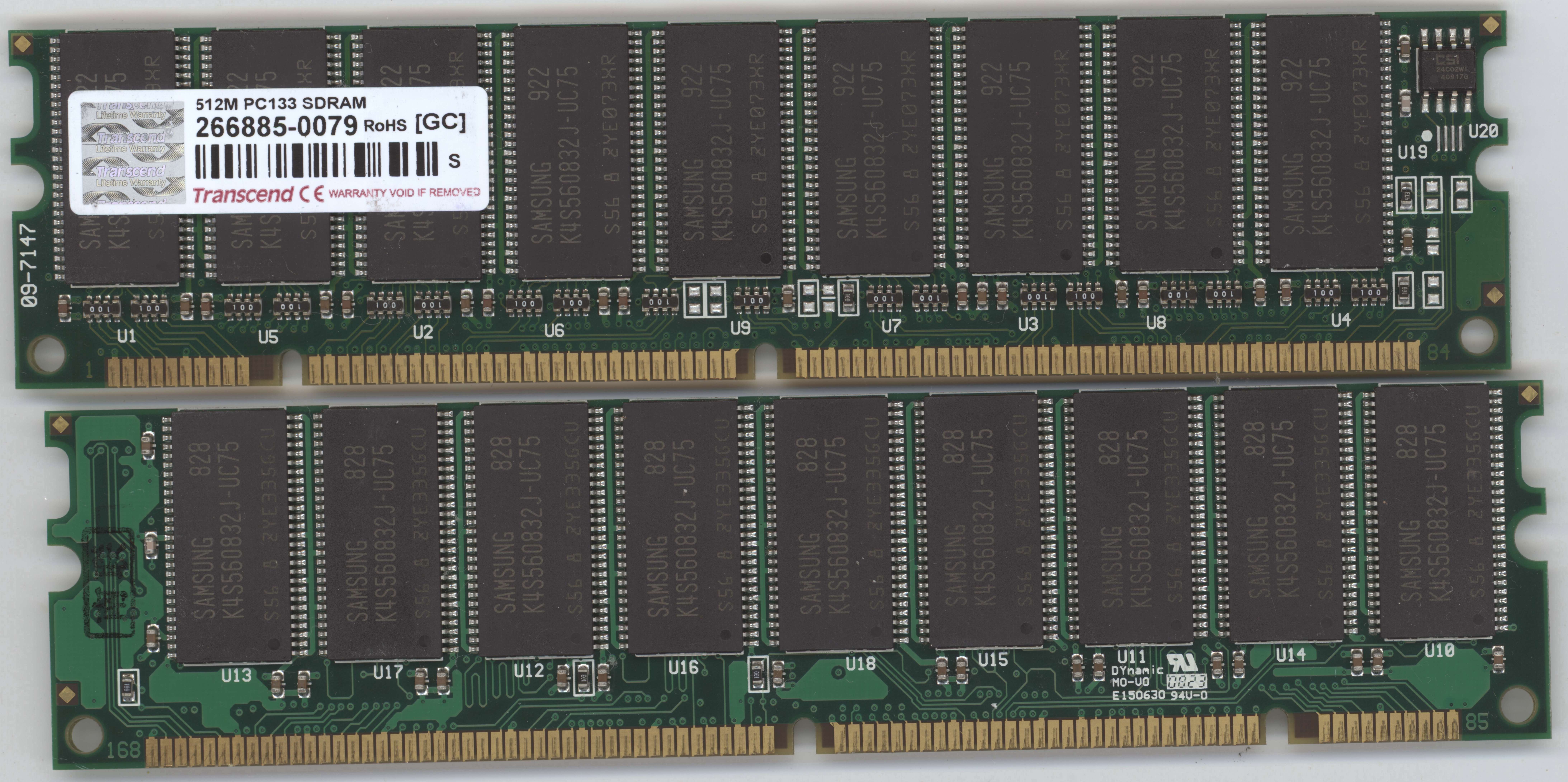 ram sticksed.jpg