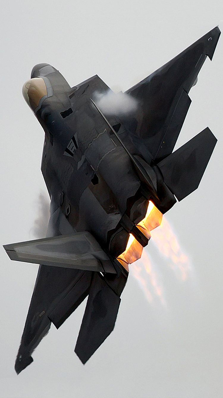 Raptor 01.png