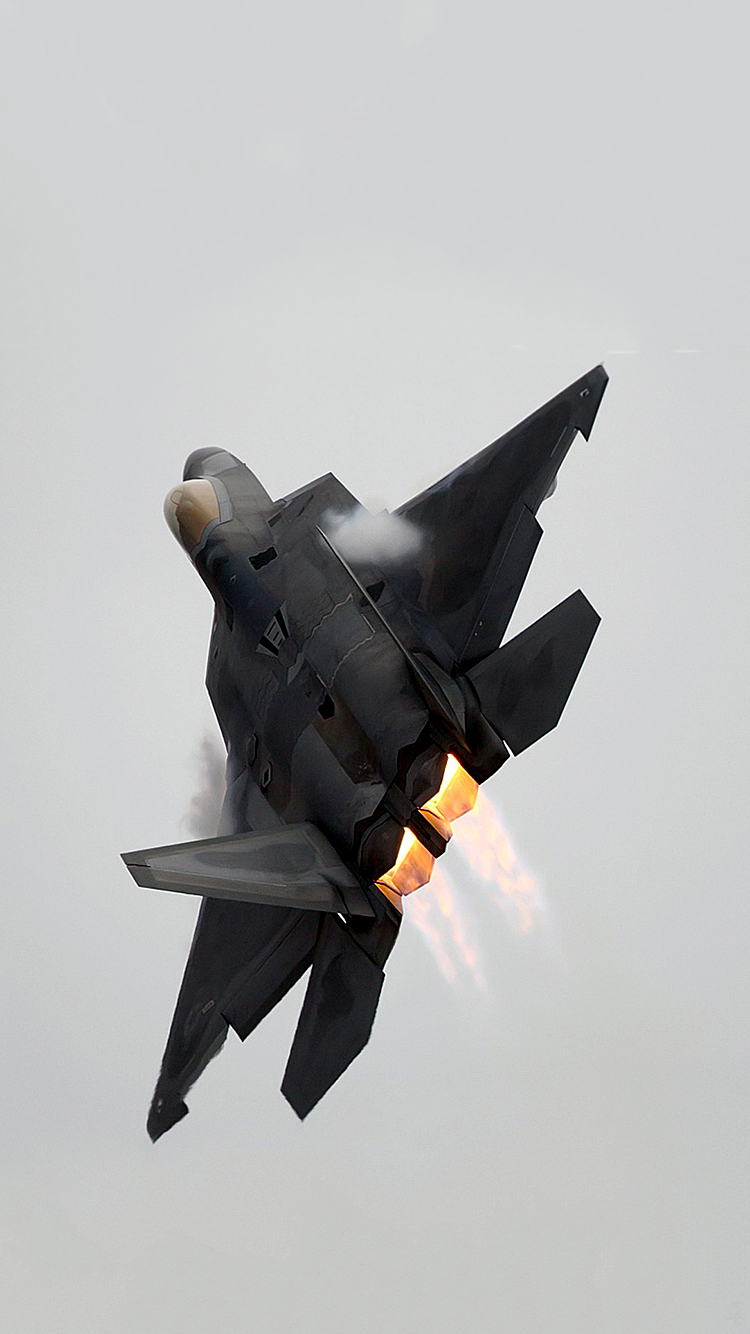 Raptor 02.png