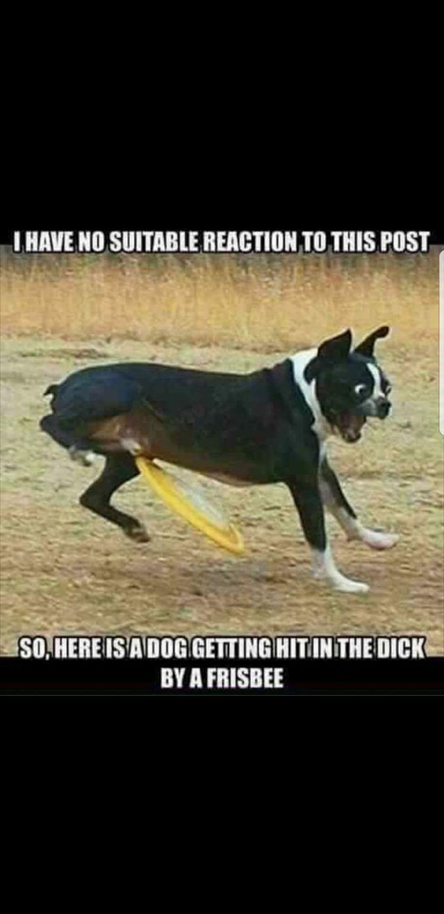 Reaction to this post.jpg