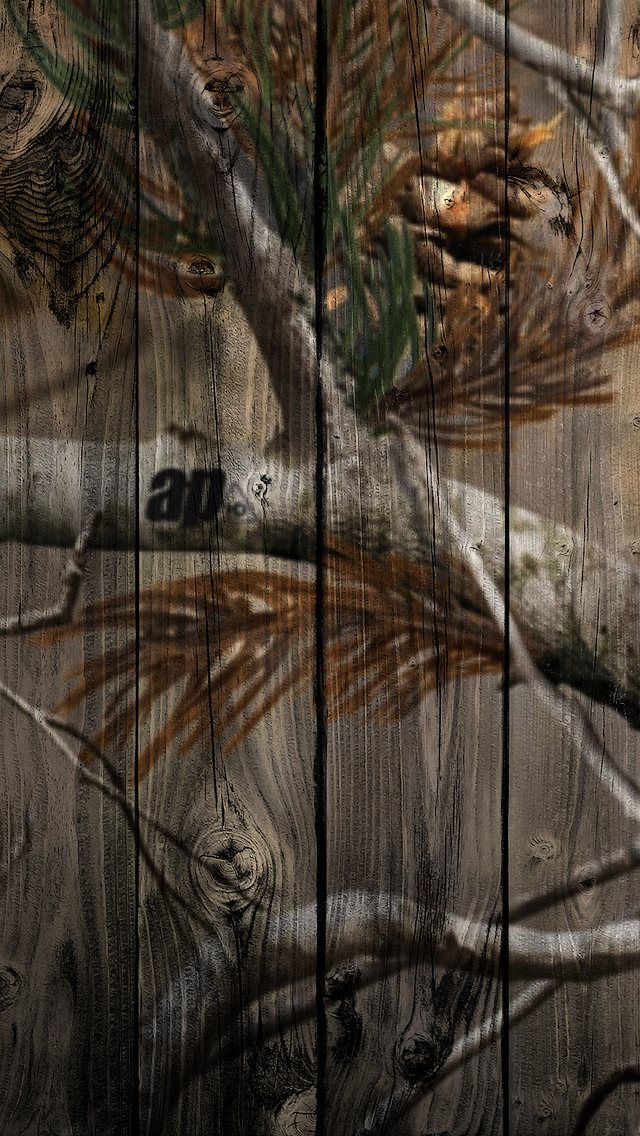 Realtree AP 02.jpg
