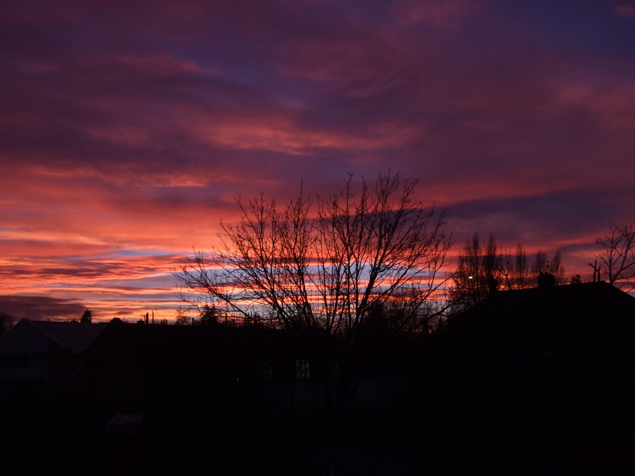red sky.jpg