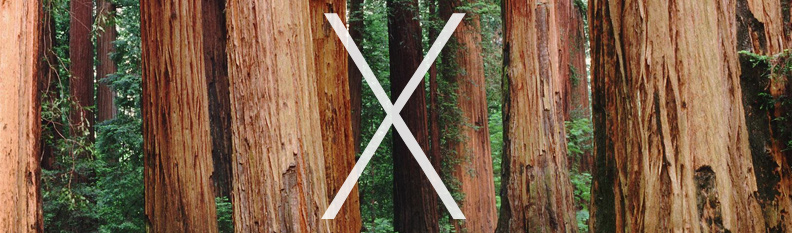 redwood.jpg