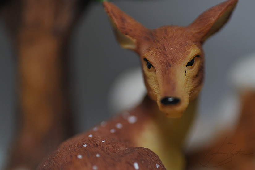 reindeer_cropped_web.jpg