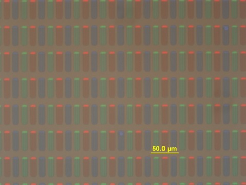 rgb_2 (with scale).jpg