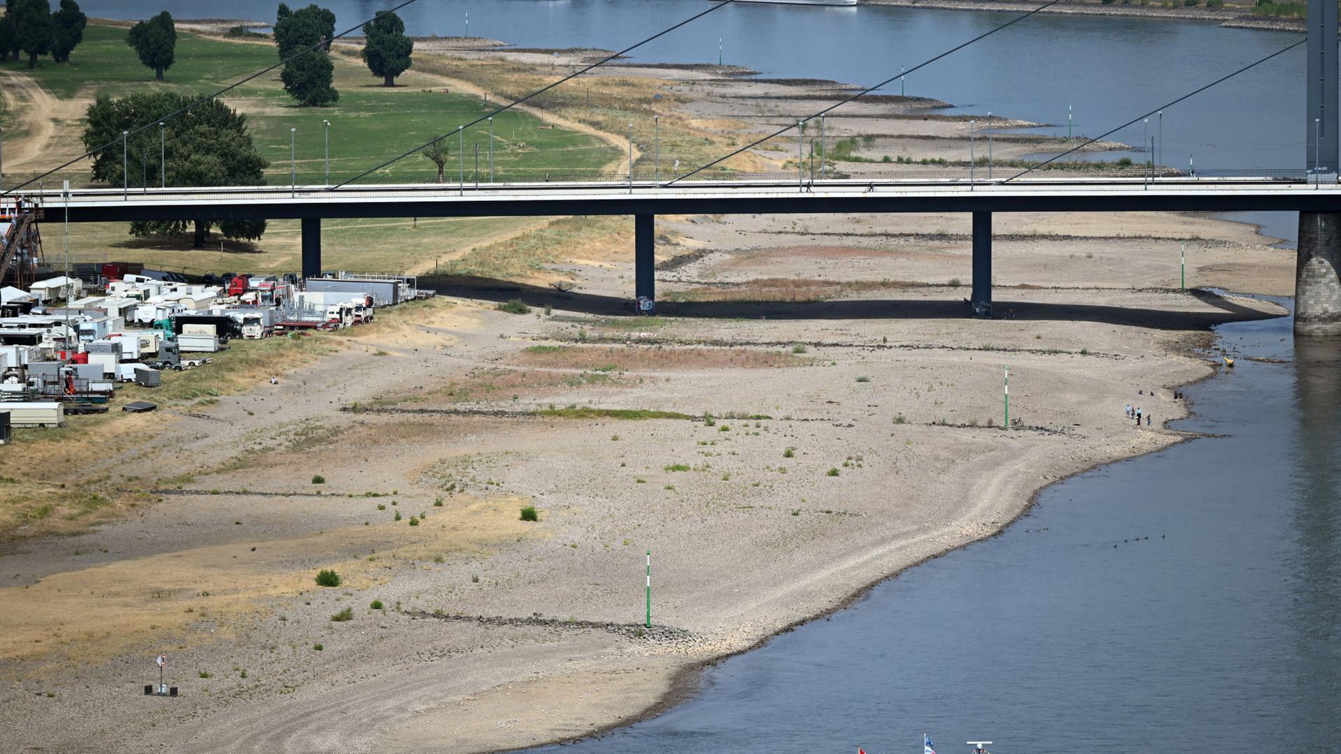 rhein-188.jpg