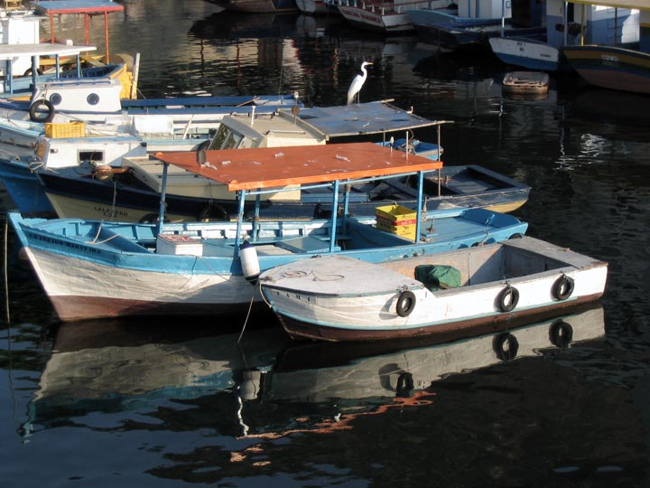 rioBoats1.jpg