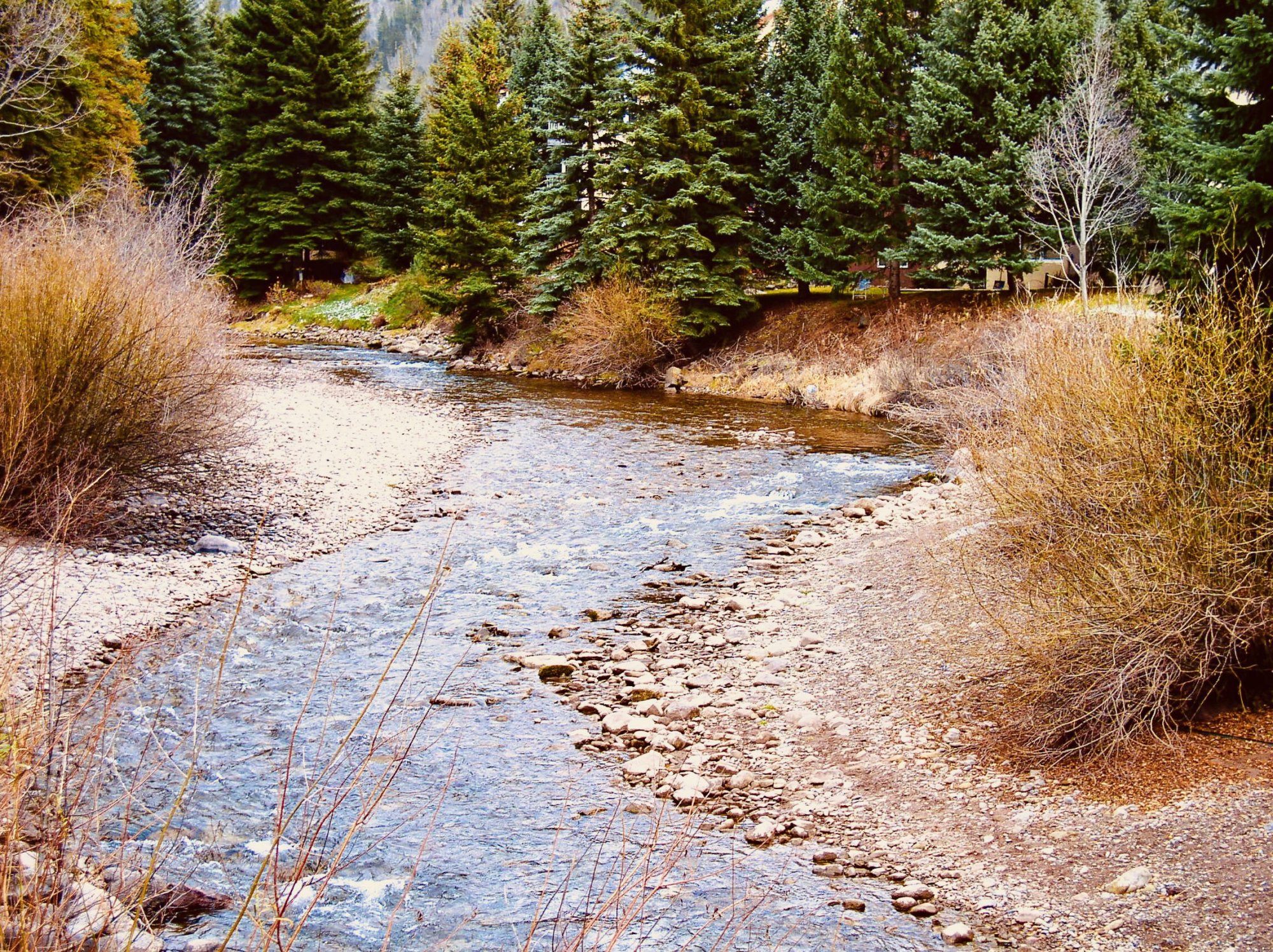 river - 1.jpeg