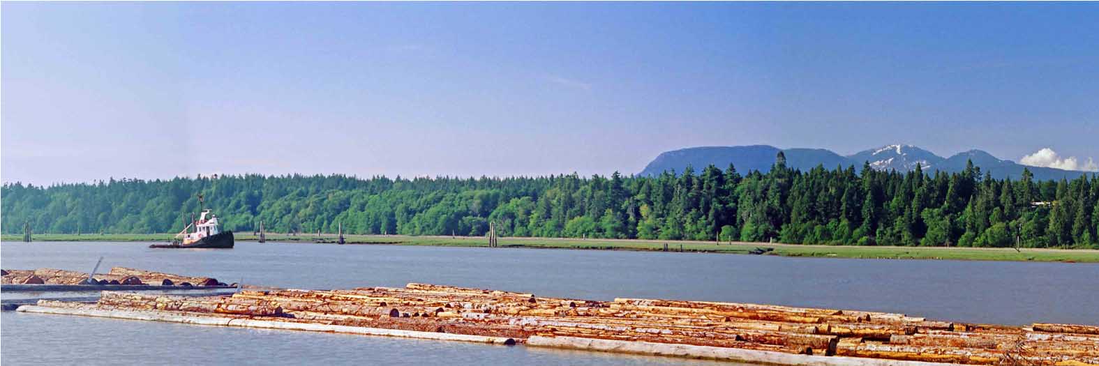 River TugboatLR2.jpg