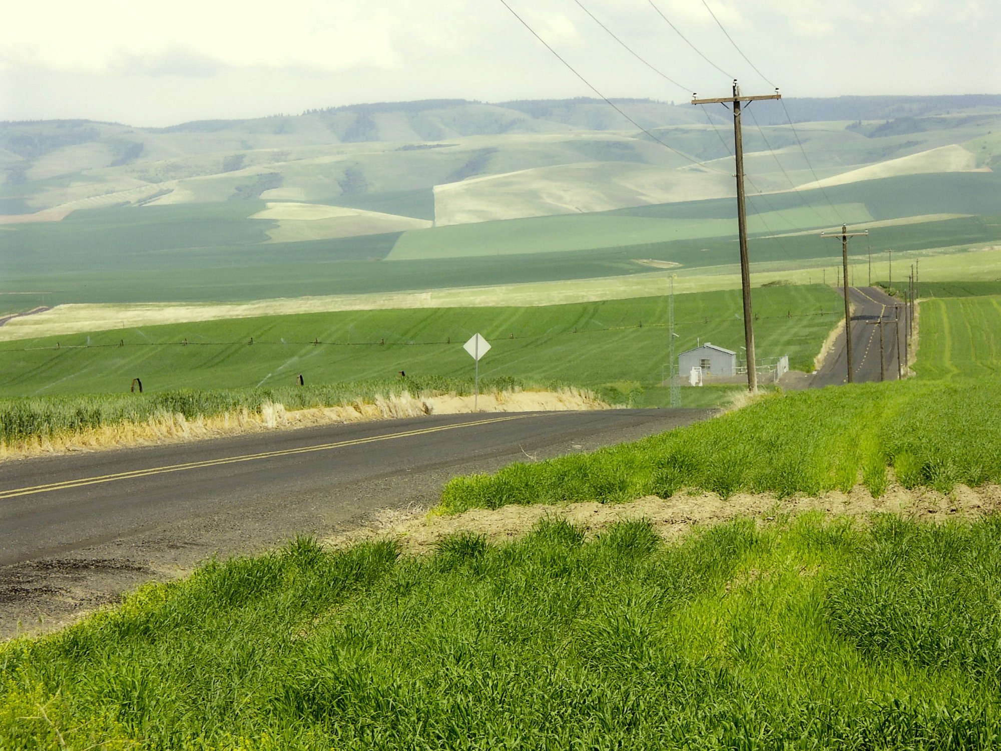 roadmf - 1.jpeg