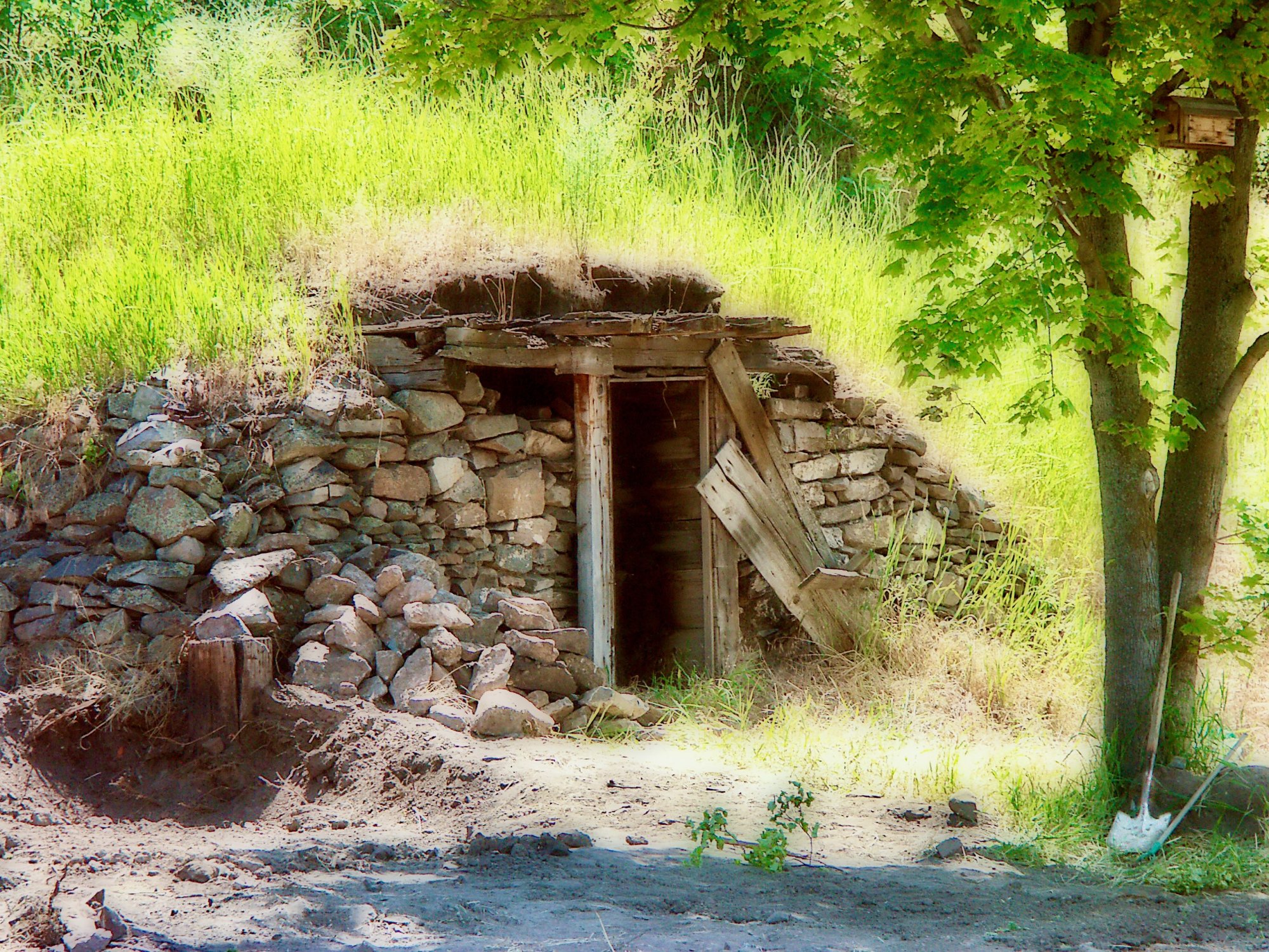 rockshack - 1.jpeg