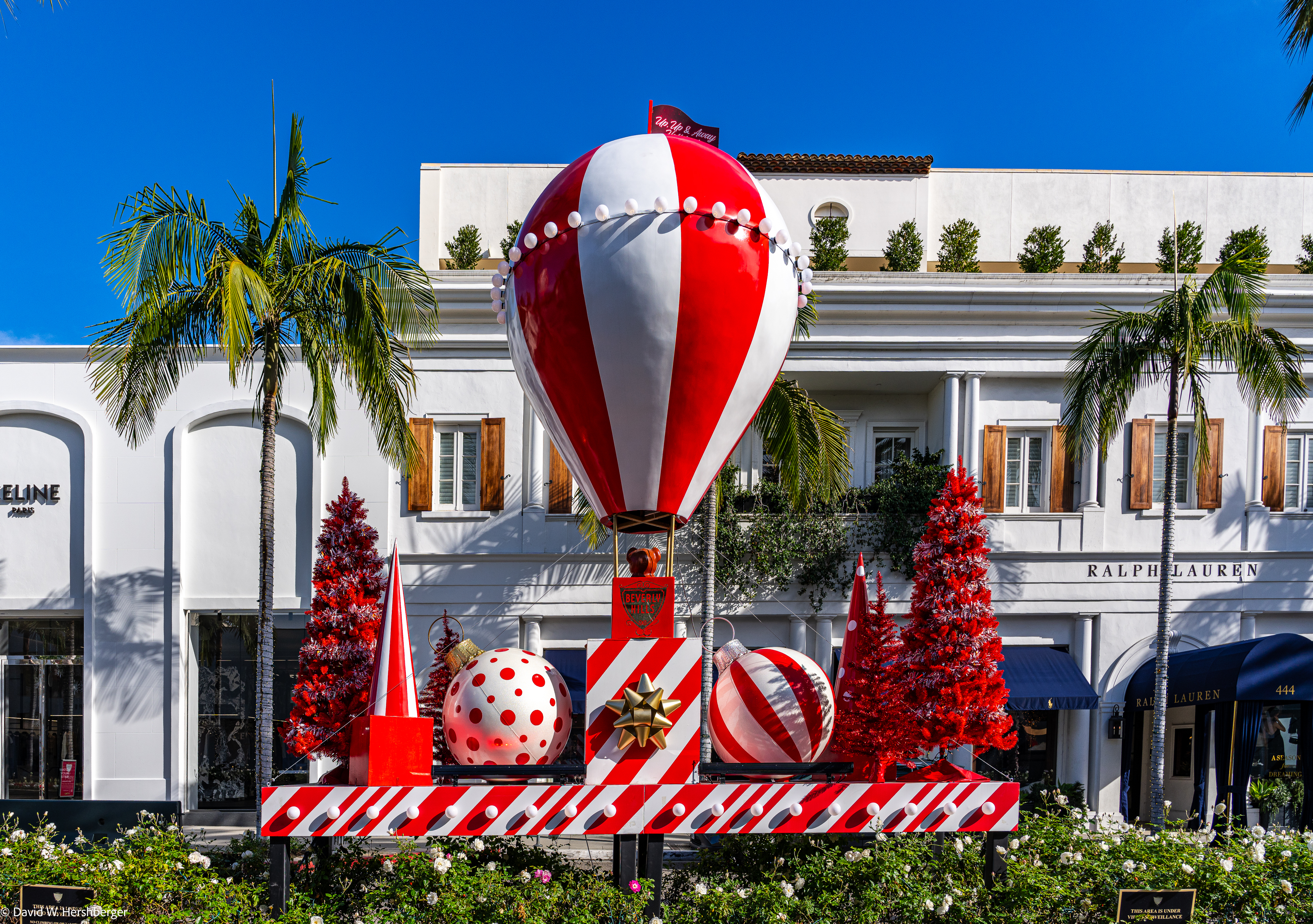Rodeo Drive.jpg