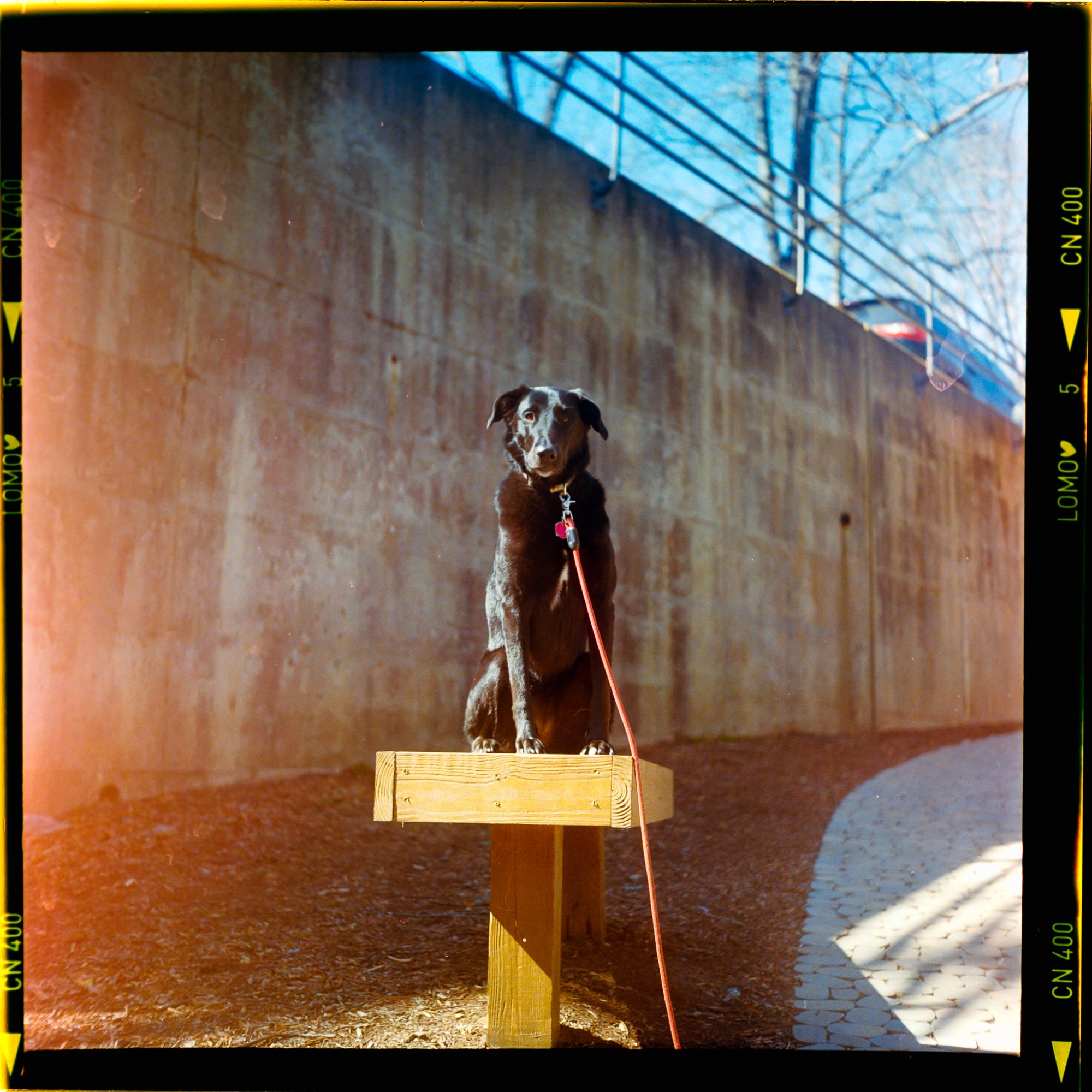 Roll _5_YashicaMat124_2025_Image_04-positive.jpg