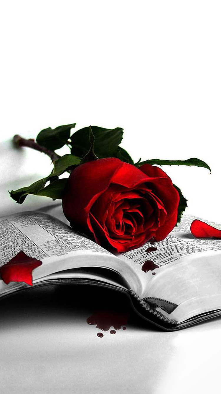 Rose 02.png