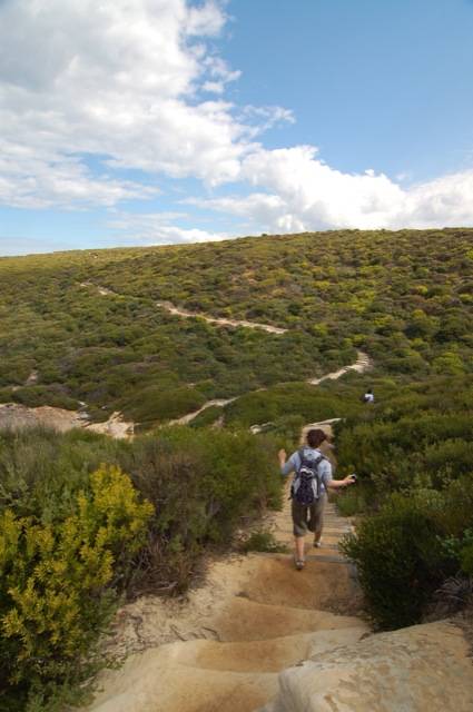 Royal National Park 53.jpg