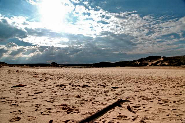 Royal_National_Park_39[1]b.jpg