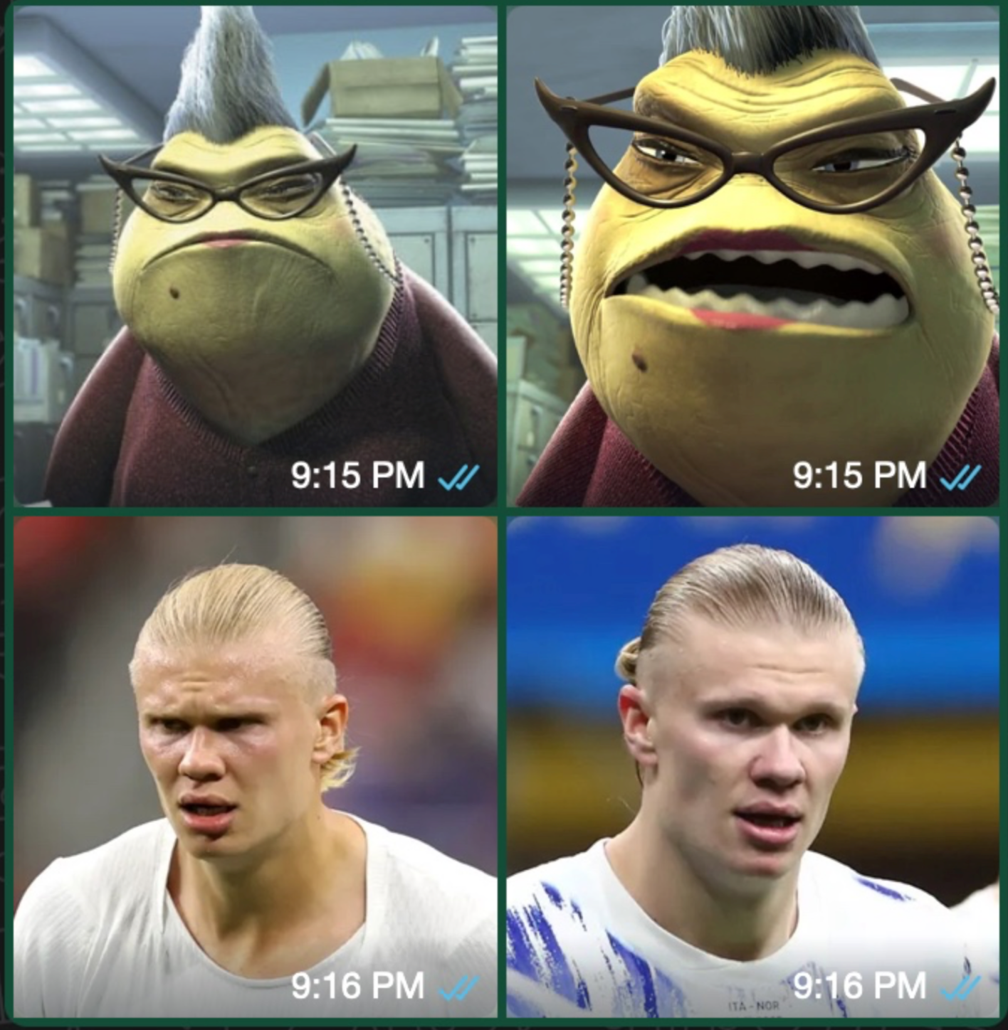 Roz.png