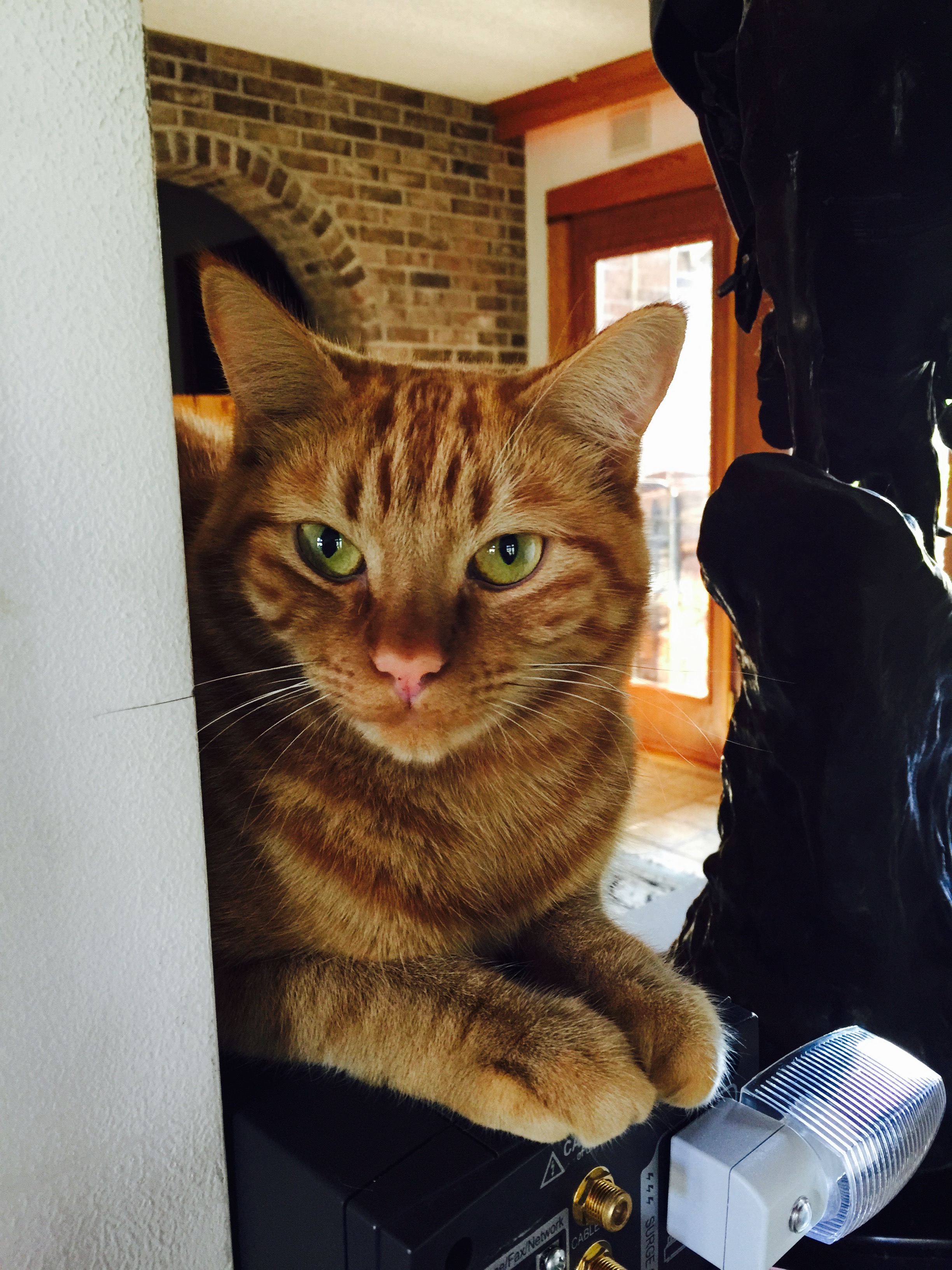 Rusty.jpg