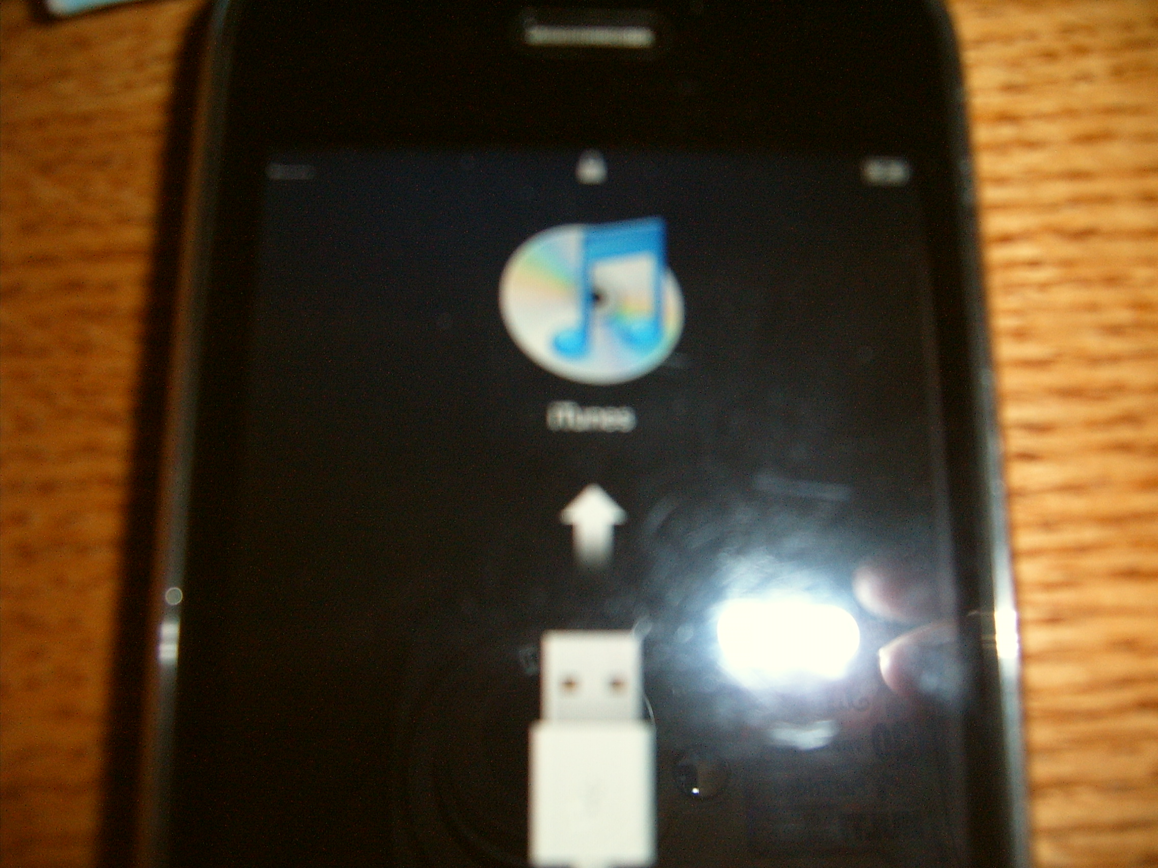 S4300025.JPG
