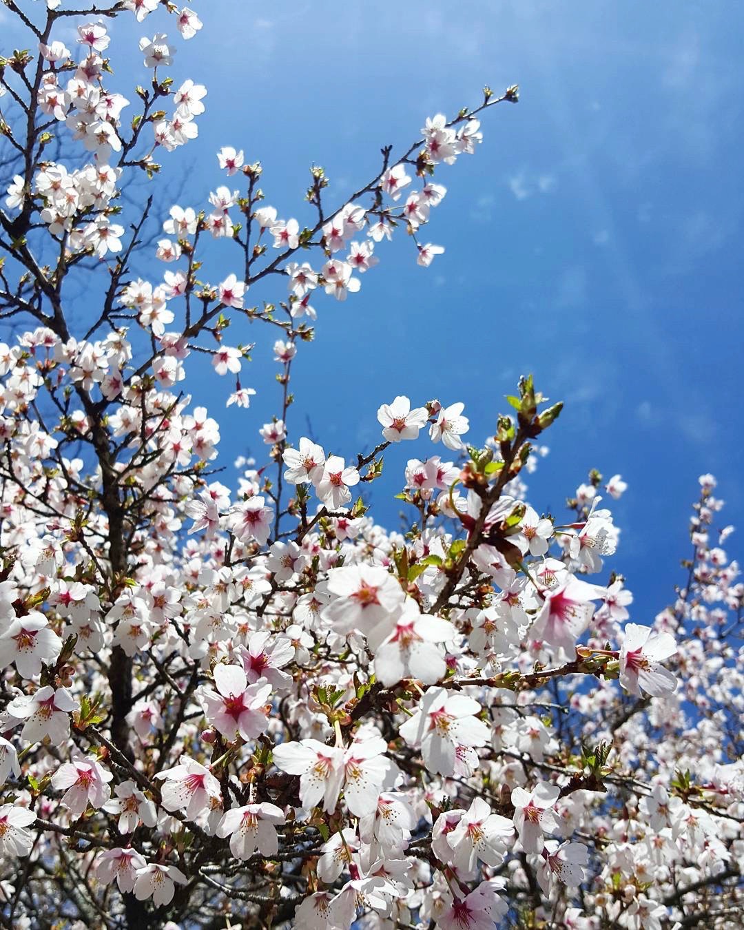 S6 Edge Plus  - 3.jpeg