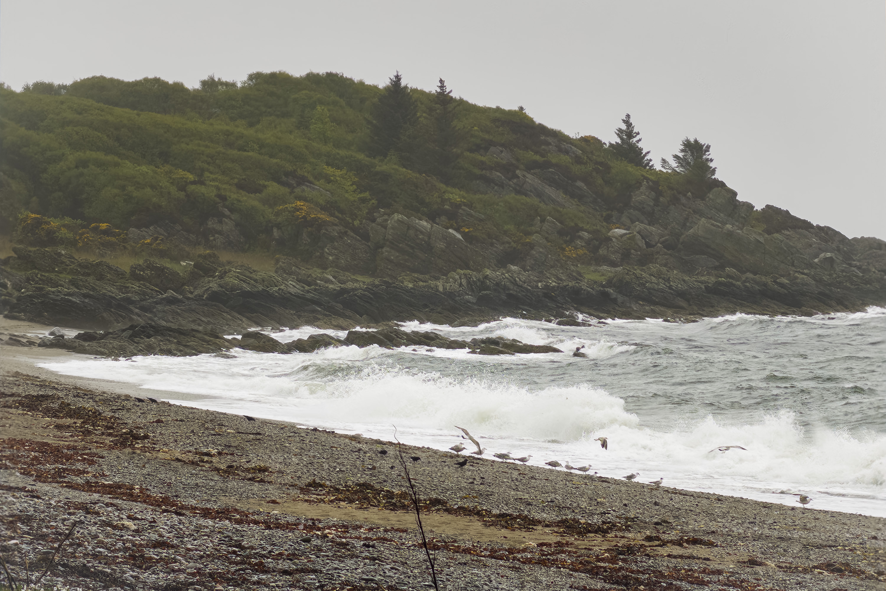 SaddellBay20260519-1.jpg