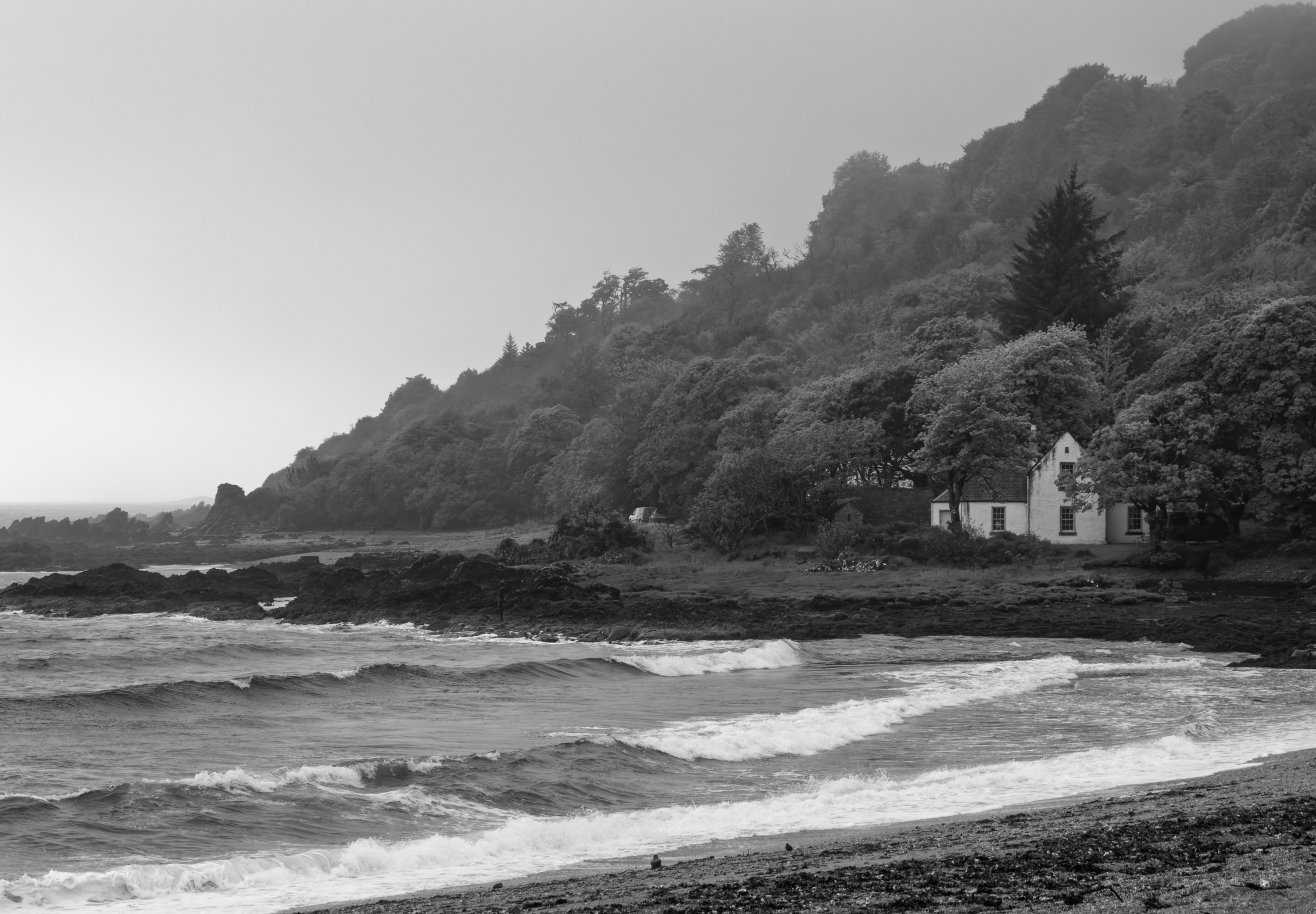 SaddellBay20260519-2.jpg