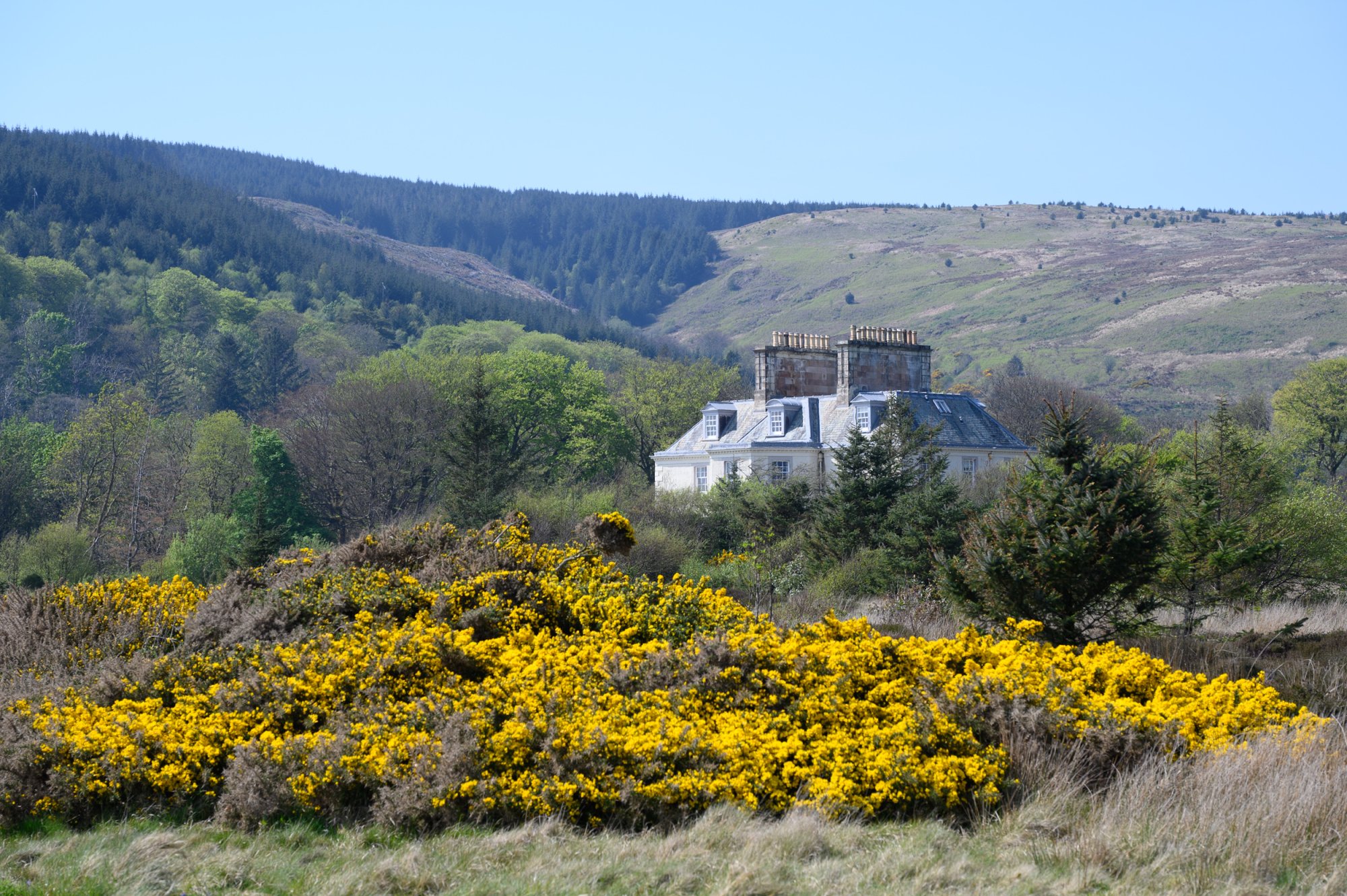 SaddellHouse20250430.jpg