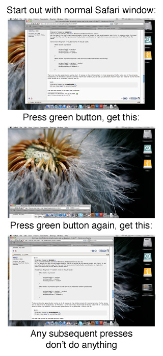 Safari Green Button copy.jpg