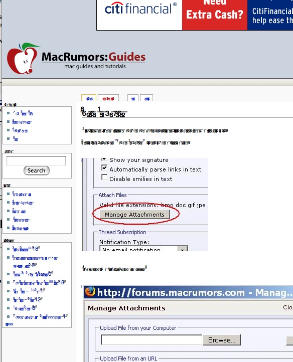 safari.jpeg