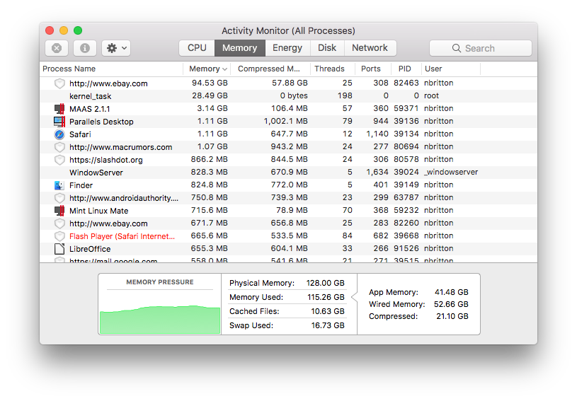 Safari Memory Leak.png