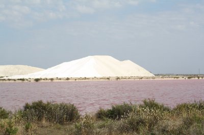 Salt+Mountain+2+SMALL.jpg