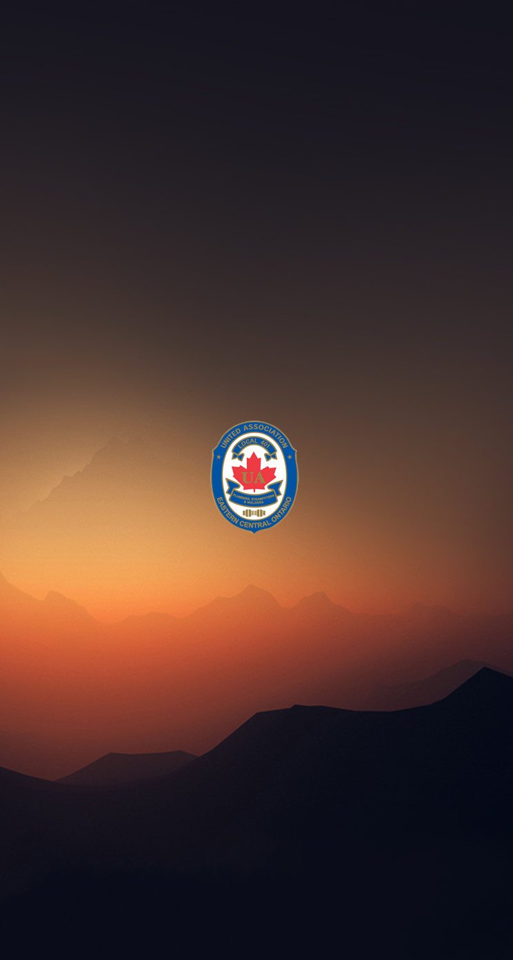 Scenic 744 02.png
