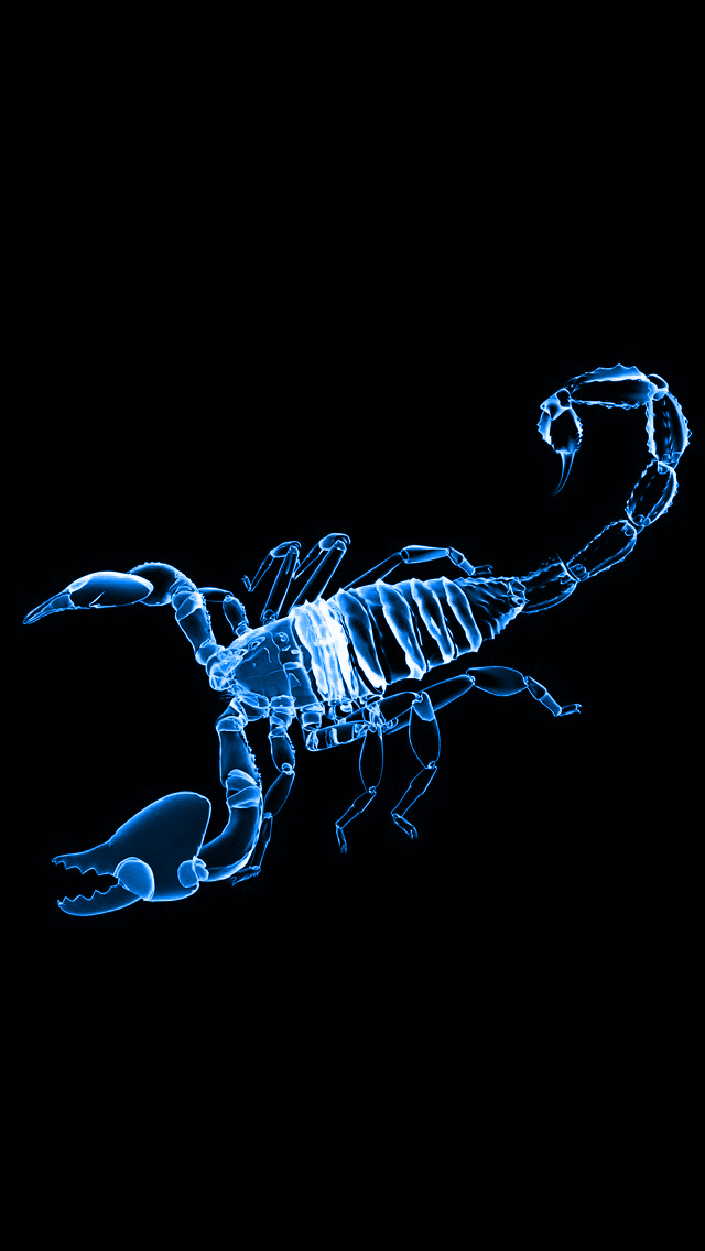 Scorpion blue.jpg