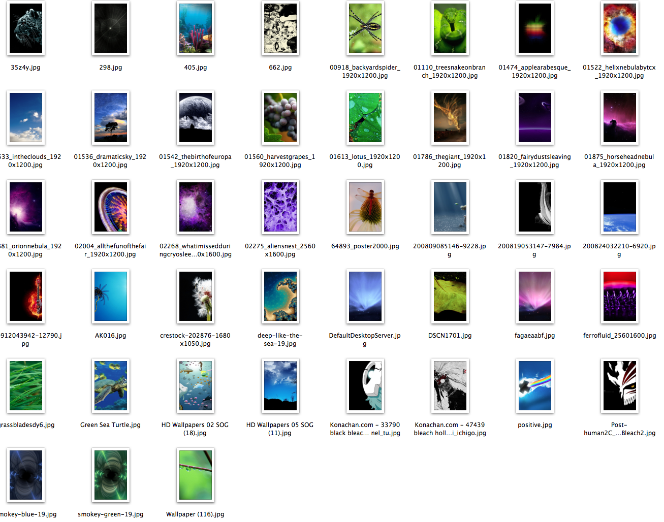 screen-capture.png
