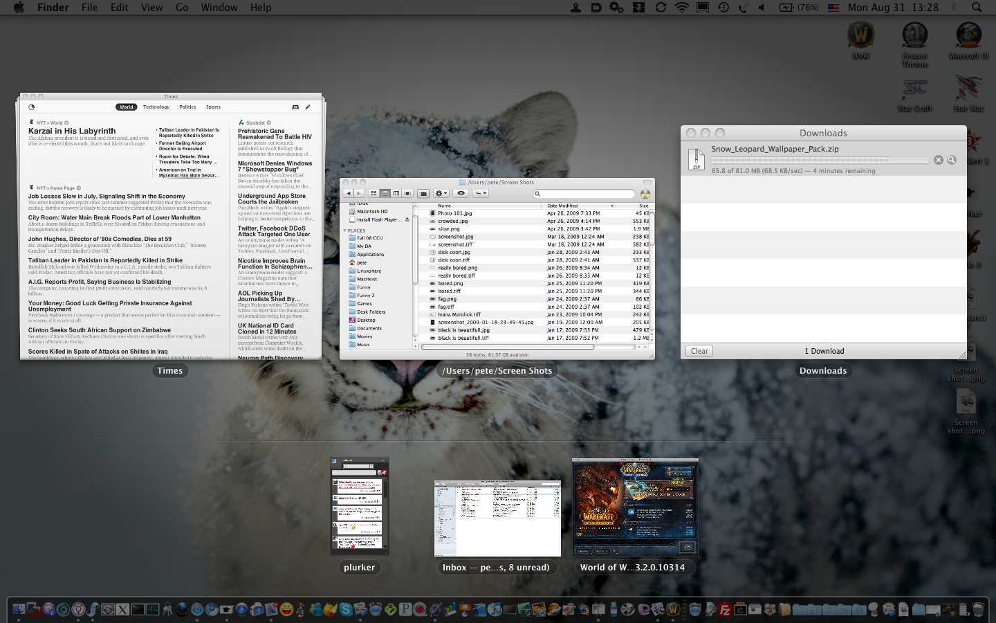 Screen shot 2009-08-31 at 1.28.06 PM.jpg
