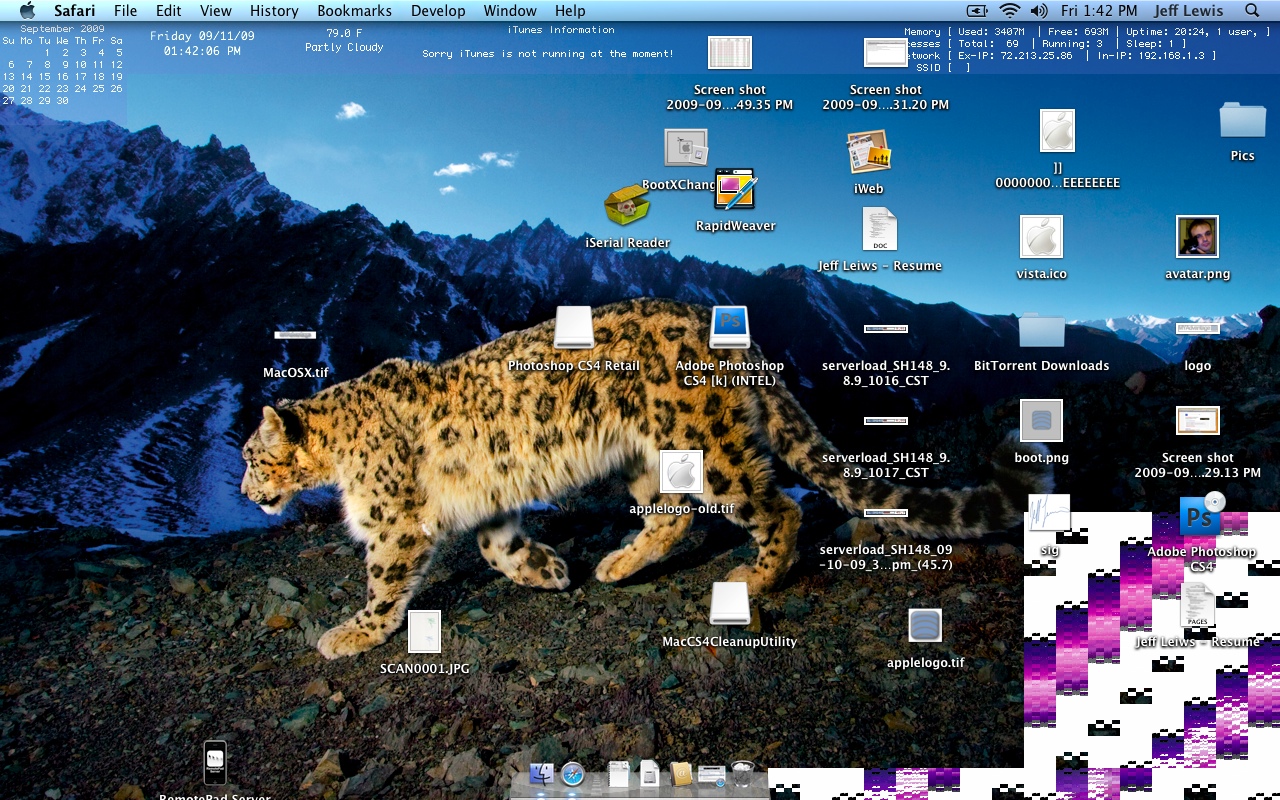 Screen shot 2009-09-11 at 1.42.06 PM.jpg