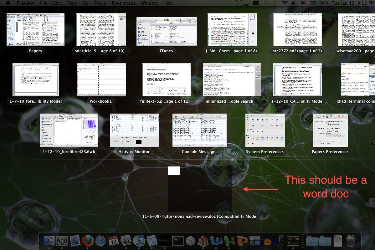 Screen shot 2010-01-12 at 9.13.08 PM.jpg