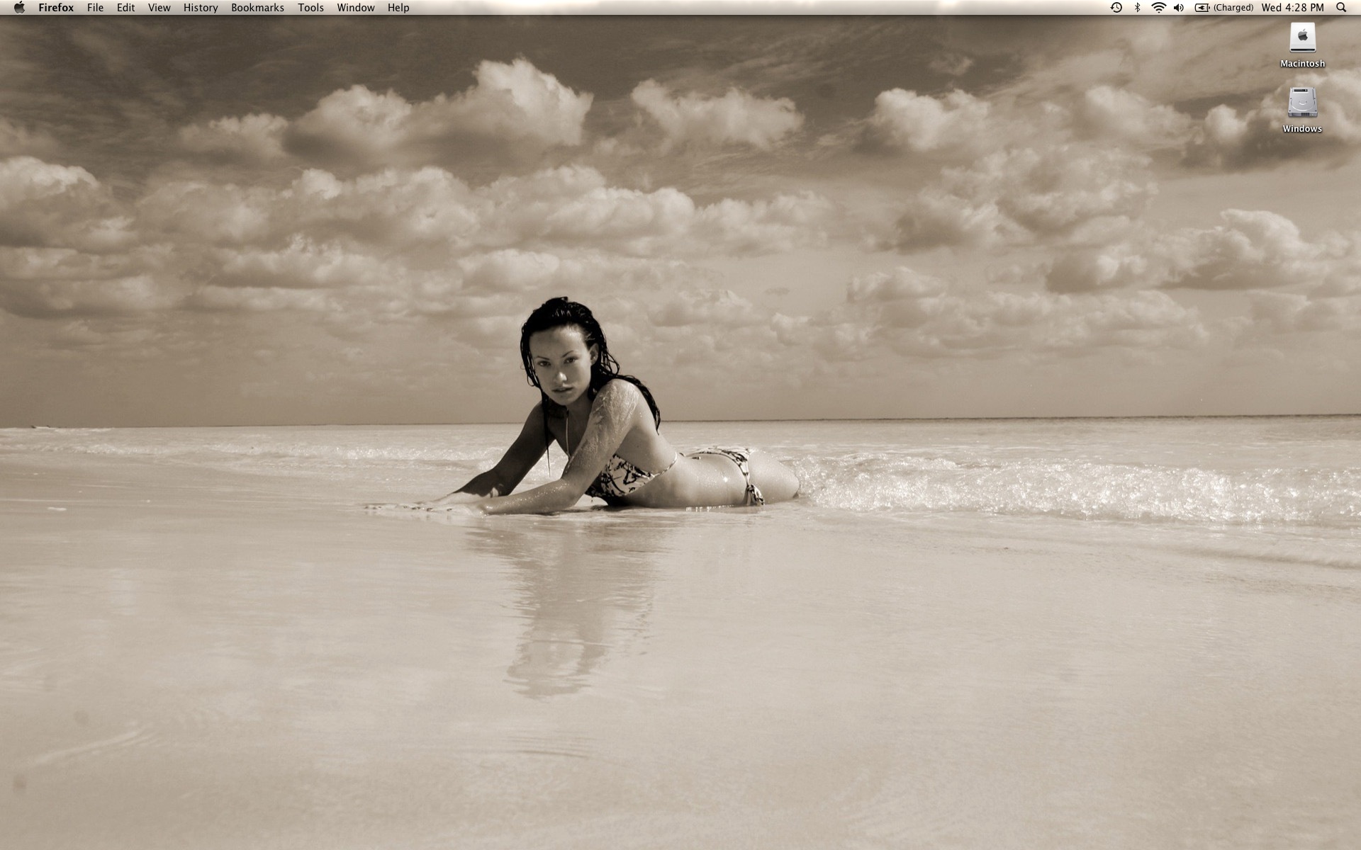 Screen shot 2010-01-20 at 4.28.20 PM.jpg