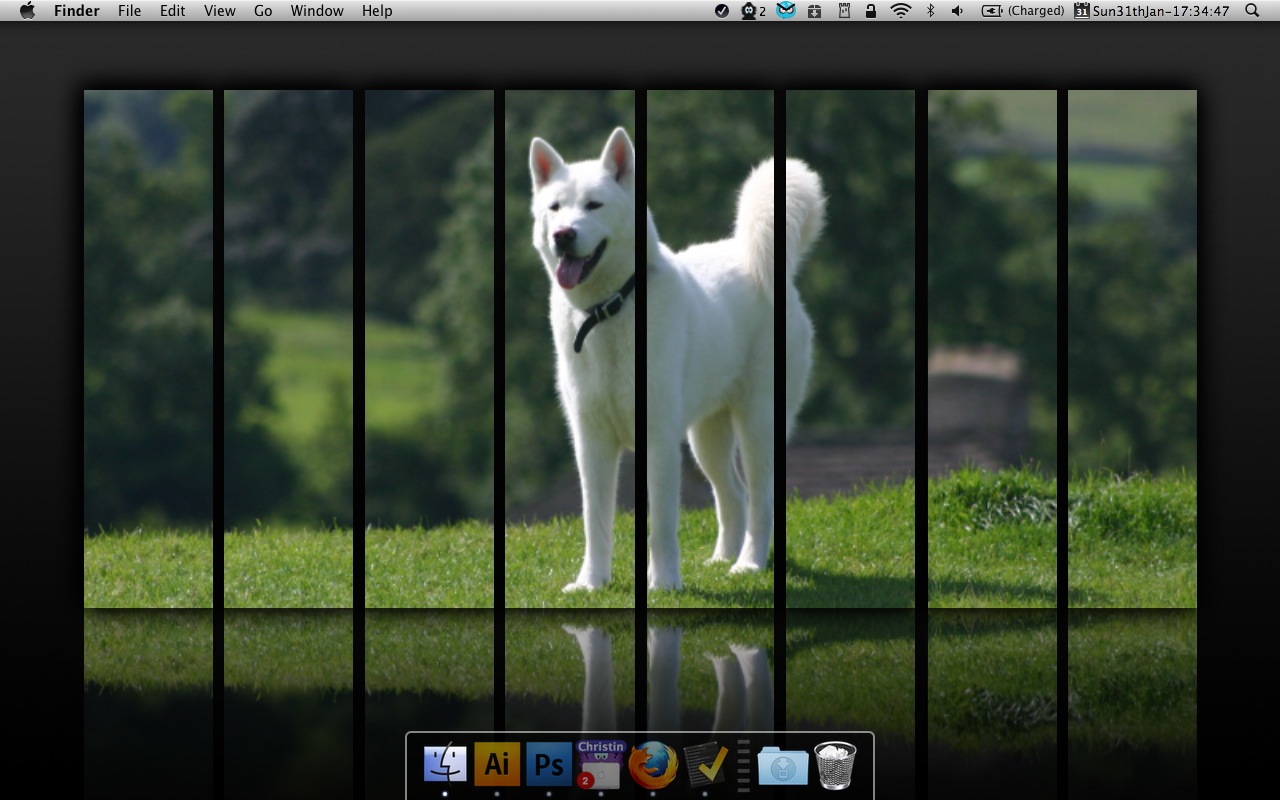 Screen shot 2010-01-31 at 17.34.47.jpg