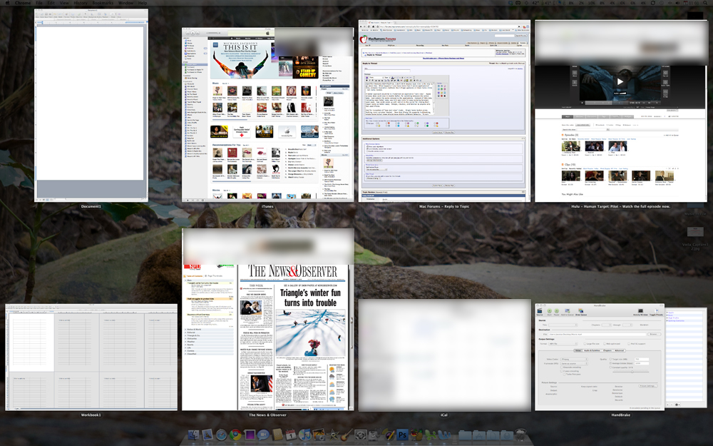 Screen shot 2010-02-01 at 11.01.11 AM.jpg