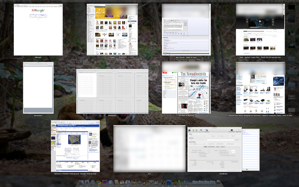 Screen shot 2010-02-01 at 11.01.41 AM.jpg
