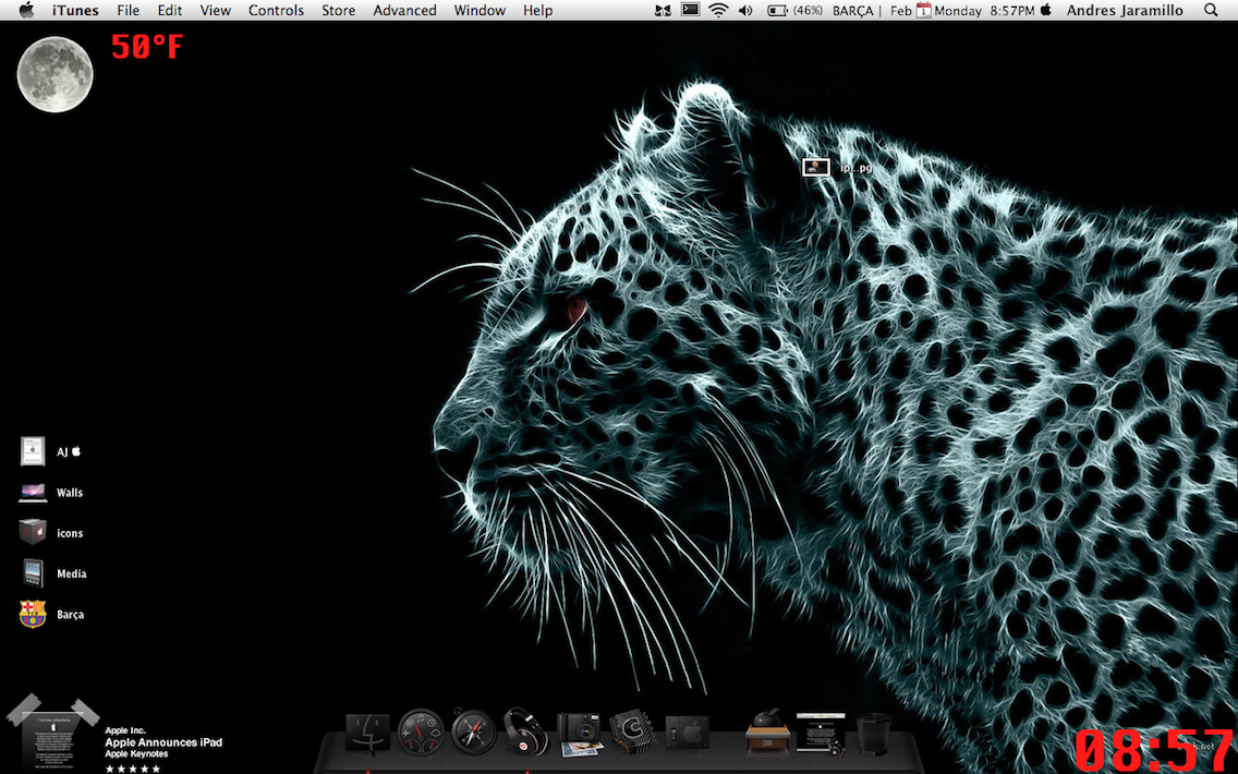 Screen shot 2010-02-01 at 8.57.22 PM.png