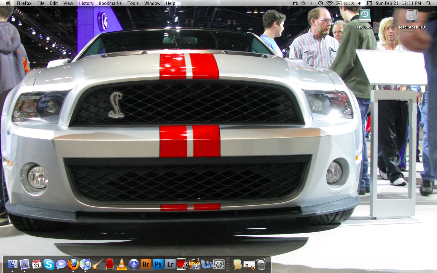 Screen shot 2010-02-21 at 12.31.34 PM.jpg
