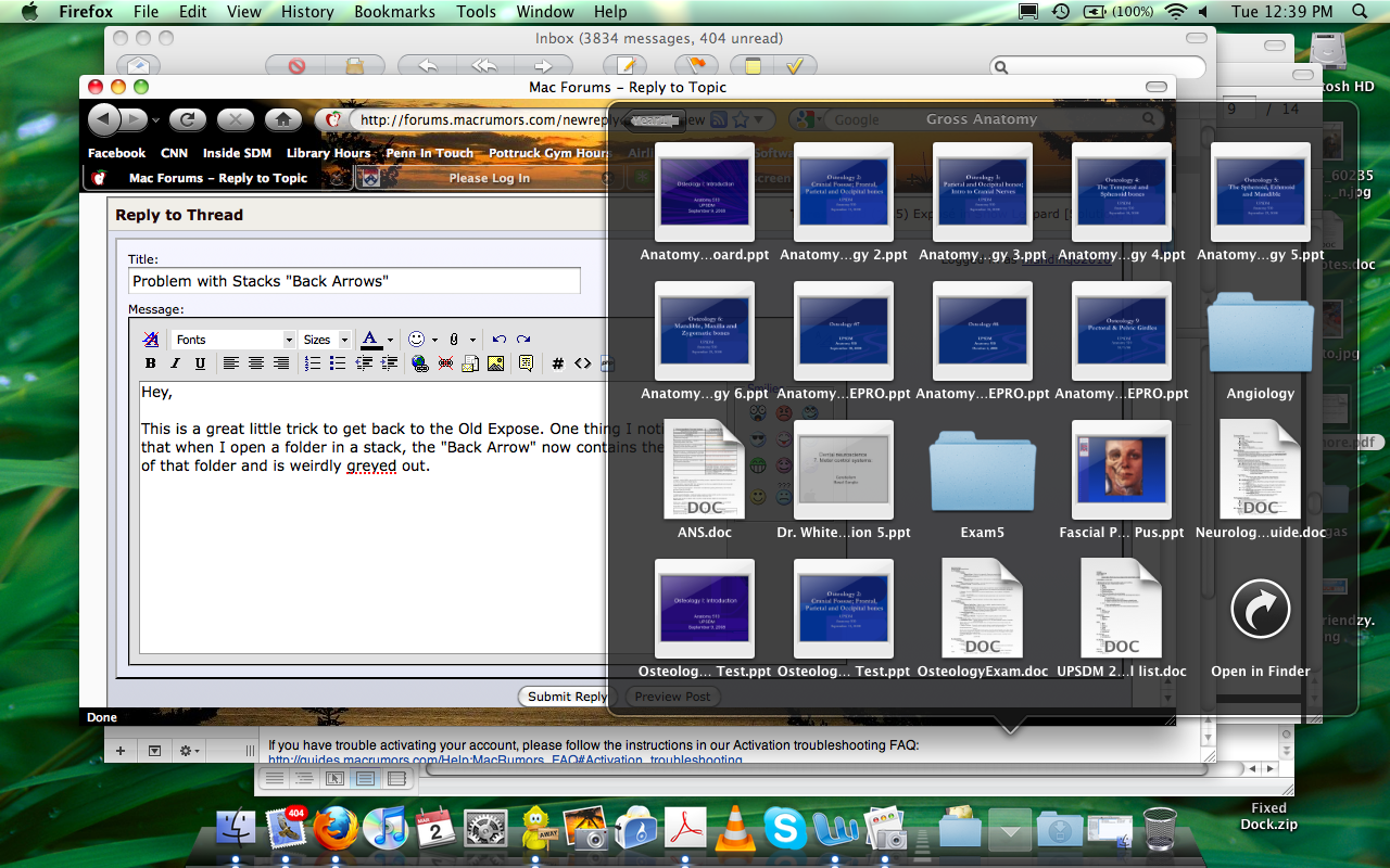 Screen shot 2010-03-02 at 12.39.55 PM.png