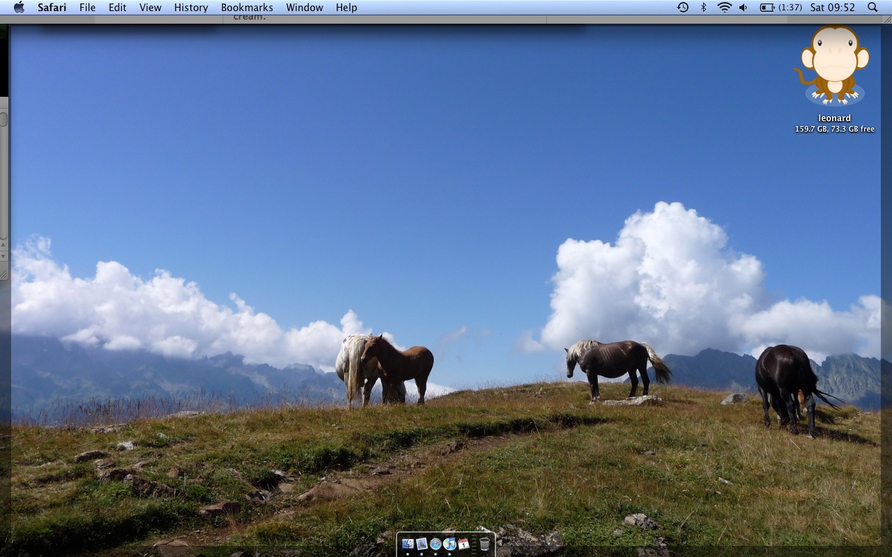 Screen shot 2010-05-01 at 09.52.26.jpg
