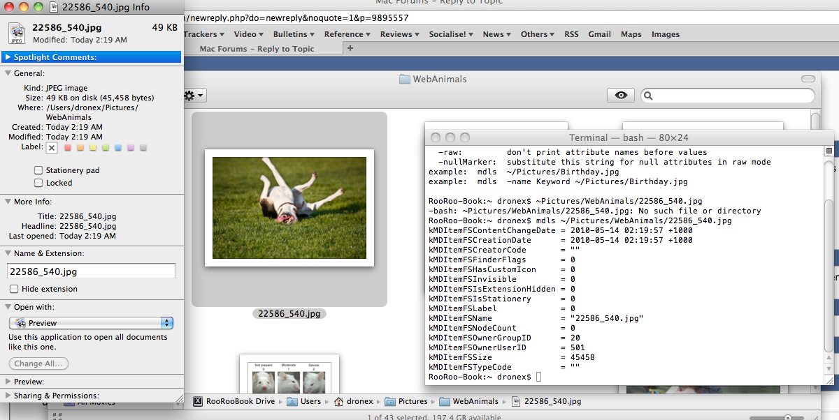 Screen shot 2010-05-14 at 11.43.49 AM.png