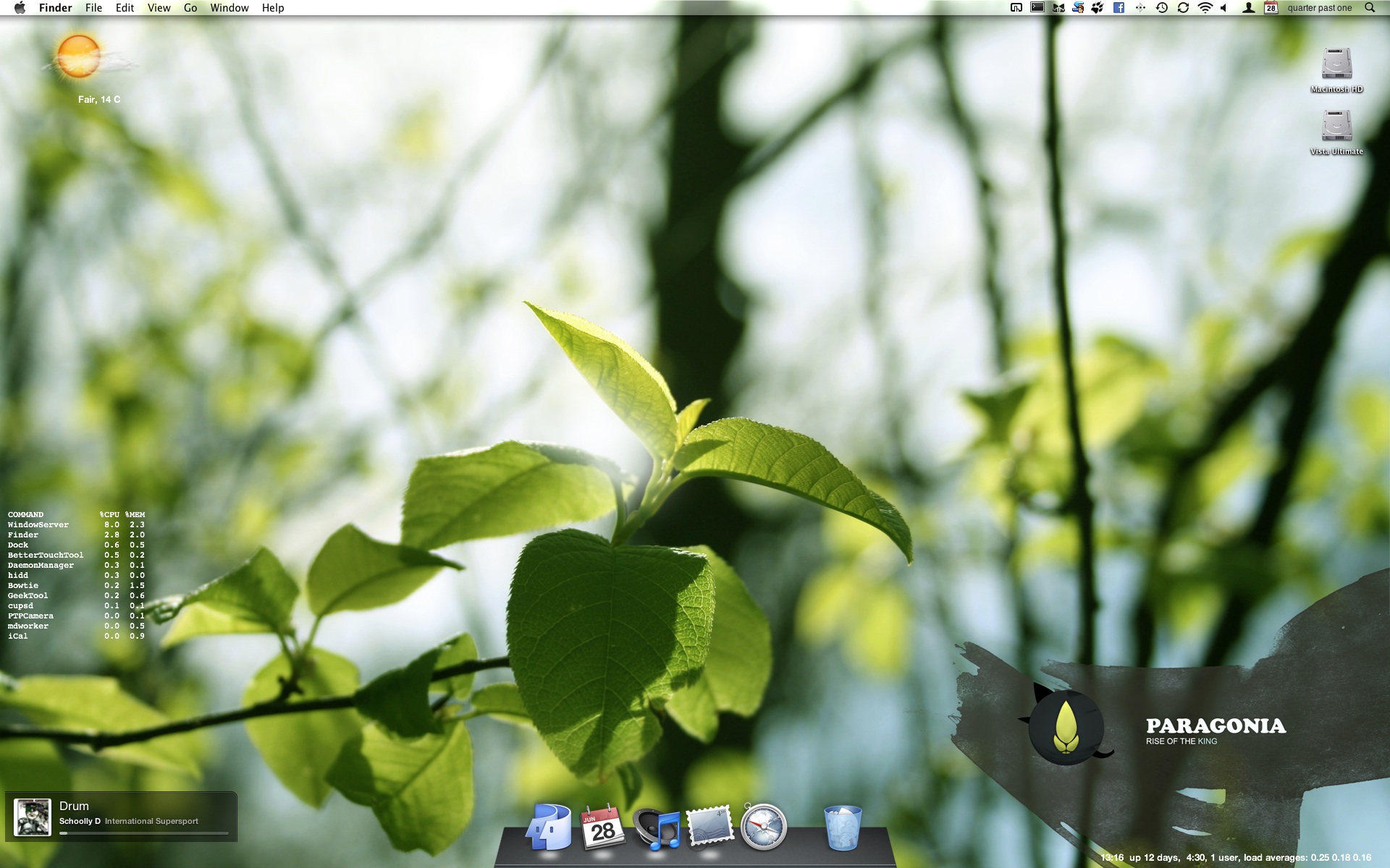 Screen shot 2010-06-28 at 1.17.01 PM.jpg
