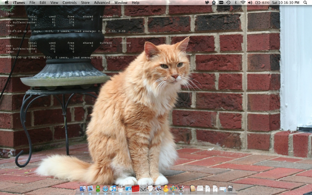 Screen shot 2010-08-07 at 10.16.29 PM.jpg